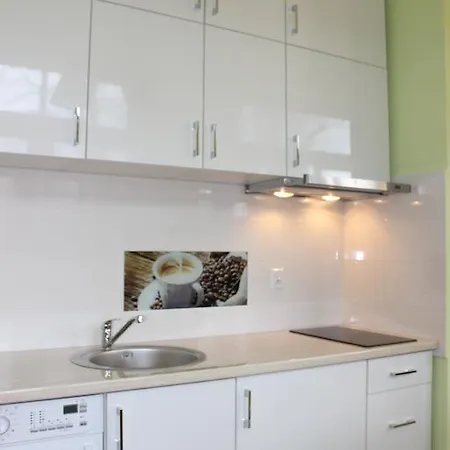 Lejlighed Apartament Oliwkowy Zakopane